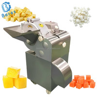 Industriële groente- en fruit snijmachine voor ui, gember, zoete aardappel, wortel (in blokjes, dobbelstenen of kubussen)