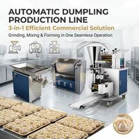 Ligne de production de raviolis commerciaux, équipement de transformation alimentaire pour usine alimentaire