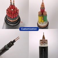 Cable de Control con Blindaje de Lámina y Trenza de Par Trenzado Anti-Interferencia Electromagnética, Conductor de Cobre, IP67, para Uso en Laboratorio, Estable