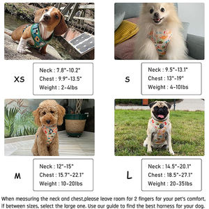 Kapal siap pabrik membuat kustom cetak tidak ada tarik tidak tersedak mudah berjalan anak anjing dapat disesuaikan <span class=keywords><strong>Harness</strong></span> dan tali Set untuk pelatihan - Product Image 5