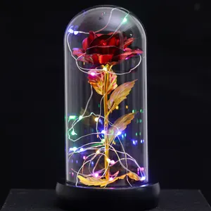 Moederdag Fabriek Groothandel Led Licht 24K Goud Galaxy Rose Kunstbloemen In Glazen Koepel Moeders Dag Cadeau Voor Moeder