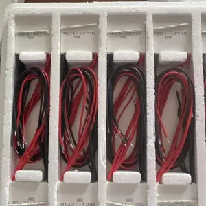 <span class=keywords><strong>TEC1</strong></span>-12715 Tec Nhiệt <span class=keywords><strong>Cooler</strong></span> <span class=keywords><strong>Peltier</strong></span> <span class=keywords><strong>Tec1</strong></span> 12706 12V 15A 40*40 mét <span class=keywords><strong>Peltier</strong></span> elemente mô-đun tấm làm mát - Product Image 4