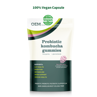 Gummies de Kombucha Véganes Personnalisables OEM/ODM, Supplément Herbal Naturel à base d'Orme Rouge et de Racine de Pissenlit, Conforme aux Normes US/EU