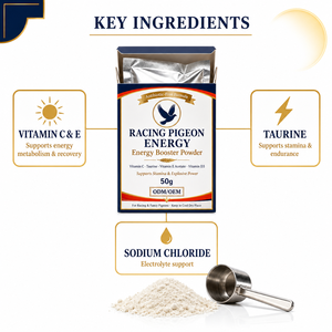 Suplemento Energético en Polvo para Palomas de Competición, para Mejorar la Resistencia Pre-competición <span class=keywords><strong>y</strong></span> la Recuperación de Electrolitos, 50g en Stock - Product Image 2