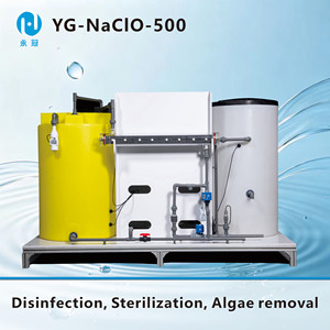 Generatore di Ipoclorito di Sodio YONG GUAN YG-NaClO-500, Sistema di Disinfezione ad Elettrolisi dell'Acqua Salata 500g/h, Trattamento Acque 5kW 220V - Product Image 4