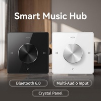 Amplificateurs audio muraux miniatures Zhiku 86 pour panneau de commande de musique TF AUX, haut-parleurs de plafond stéréo, contrôleur de cinéma maison