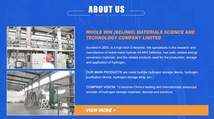 Lega di idruro metallico per l'accumulo di energia dell'idrogeno - Product Image 4