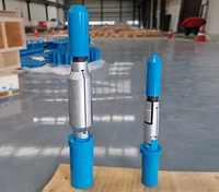 Outils de pêche API libérant la lance pour les tuyaux de forage de champs pétrolifères et le fournisseur d'équipement de pêche de fond de boîtier