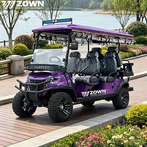 Cómodo Carro de Golf Eléctrico y Buggy para Golf, Hoteles, Aeropuertos, Villas, Carro de Golf de 2 Plazas - Product Image 1