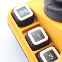 Control Remoto Inalámbrico F24-60 de Alta Gama para Uso Industrial Global, Fabricante Líder en Ventas