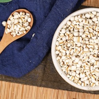 Vente en gros de graines de Coix de haute qualité (qualité alimentaire) en sacs pour la fabrication de bouillies et de tisanes