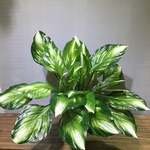 Mur végétal artificiel vertical, simulation de feuilles de <span class=keywords><strong>Hosta</strong></span>, décoration florale pour balcon intérieur, fond de porte - Product Image 3