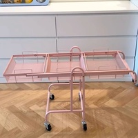 Étagère de rangement parallèle mobile pliable sur roulettes, support à trois niveaux en acier au carbone pour collations et plantes succulentes, pour salon