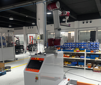 Système de palettisation automatique à robot cartésien sur portique fixe en aluminium, pour l'empilage de cartons et de sacs, palettiseur de fin de ligne