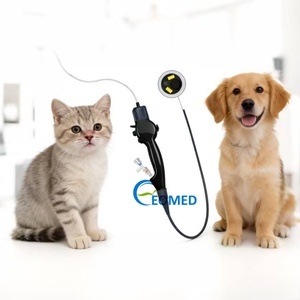 Endoscope vétérinaire stérile jetable USB - Conception flexible pour l'extraction de corps étrangers chez les animaux - Product Image 2