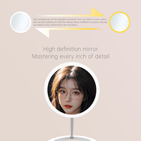 Miroir de maquillage cosmétique LED Table de toilette Pliable Trois modes d'éclairage Batterie rechargeable personnalisée Lampe réglable