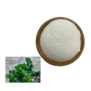Natural Food Grade 98% Laminaran Powder Sweeteners Cas 9008-22-4