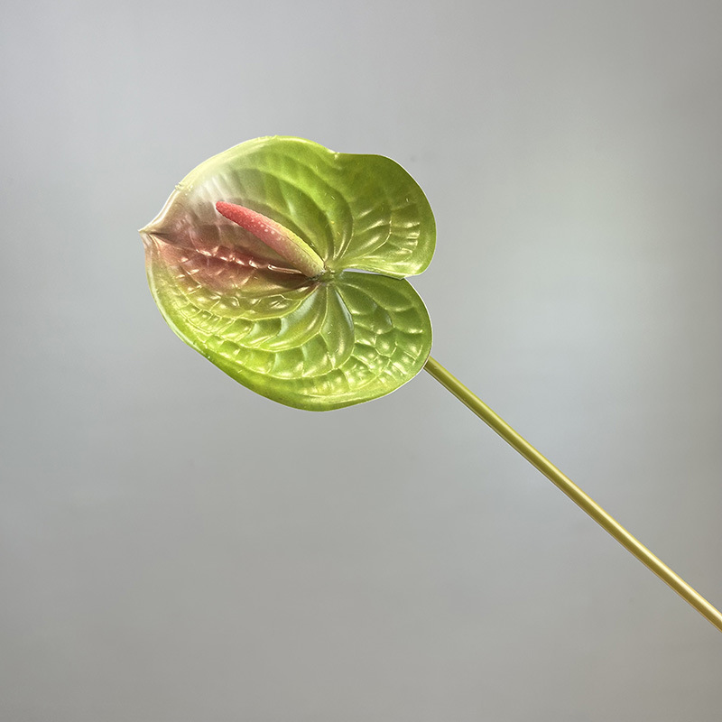 ชมพูเขียว