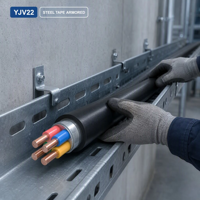 Kabel Listrik Bawah Tanah Tugas Berat YJV22 3-Core 4-Core 5-Core Kabel Listrik Berlapis Baja untuk Pemasangan Langsung