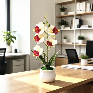 Orchidée Phalaenopsis Paulon en pot, 29 cm de haut, fleur artificielle, décoration de bureau - Product Image 4