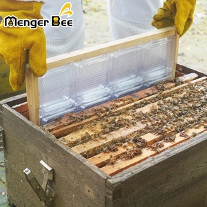 Ensemble complet Menger Bee 250g, boîtes en PET transparentes à 8 compartiments, état neuf, conteneur à miel, utilisation en apiculture, Langstroth 1 - Product Image 5