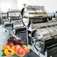 Industriële Fruitpuree Jam Maken Machine Abrikozenproductielijn