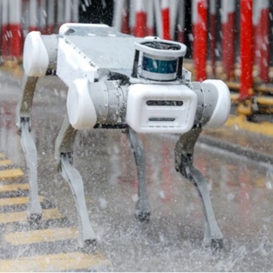 Chien Robot avec <span class=keywords><strong>Patrouille</strong></span> Canine Avion Chien Robot Patte <span class=keywords><strong>Figurine</strong></span> <span class=keywords><strong>Patrouille</strong></span> Robot Chien - Product Image 4