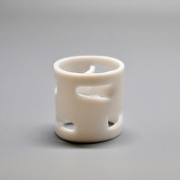 PTFE Kunststoff Pall Ring, PTFE Kunststoff Raschig Ring Filter medien