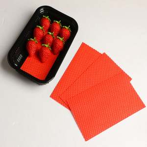 Almohadilla Absorbente Desechable Blanca para Frutas, Bandeja de Supermercado para Absorción de Sangre de Aves, Absorbente de Humedad - Product Image 6