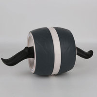Nouvelle conception de roue abdominale réglable en acier, équipement d'entraînement abdominal avec couleur personnalisée pour la remise en forme et la musculation