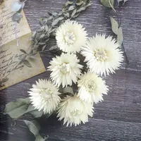 Fabricantes por atacado doméstico flor arranjo fotografia adereços diy mini buquê margarida cabeça de flor seca