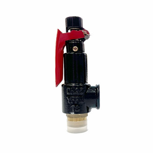 Válvula de Seguridad Roscada con Resorte A27W-10T de 1 Pulgada para Gas, Vapor y Agua a Temperatura Normal, Microapertura, Efecto Directo - Product Image 4