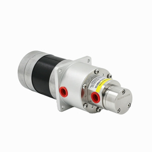 Bomba de engranajes magnética de bajo flujo 0.3ml/rev para transferencia de fluidos, agua y aceite, con motor de escobillas 63 para dosificación - Product Image 1