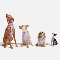 ROKI RQ-C26009 - Correa de Lujo para Perro con Logotipo Personalizado, Cómoda, Ajustable, Duradera, de Poliéster, con Patrón Geométrico