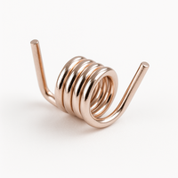 Downlight Long Belt Flat Green House Spring Clip Fasteners For Cable Holder Spring Extension Small Torsion Spring For Jewelry