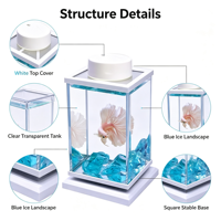 Mini aquarium rotatif pour betta, petit ornement de bureau, verre ultra-transparent, décoratif créatif, sans filtre, ensemble aquascape complet en boîte