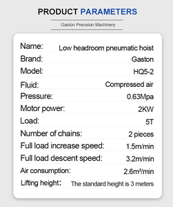 Palan pneumatique à chaîne à anneaux de 5 tonnes palan pneumatique antidéflagrant - Product Image 2