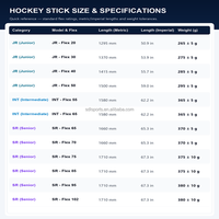 Bâton de hockey sur glace pour adultes, construction composite, pour les ligues de fin de semaine et les joueurs amateurs