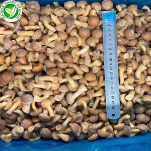 Замороженные грибы плавертус ostreatus для здорового питания IQF - Product Image 4