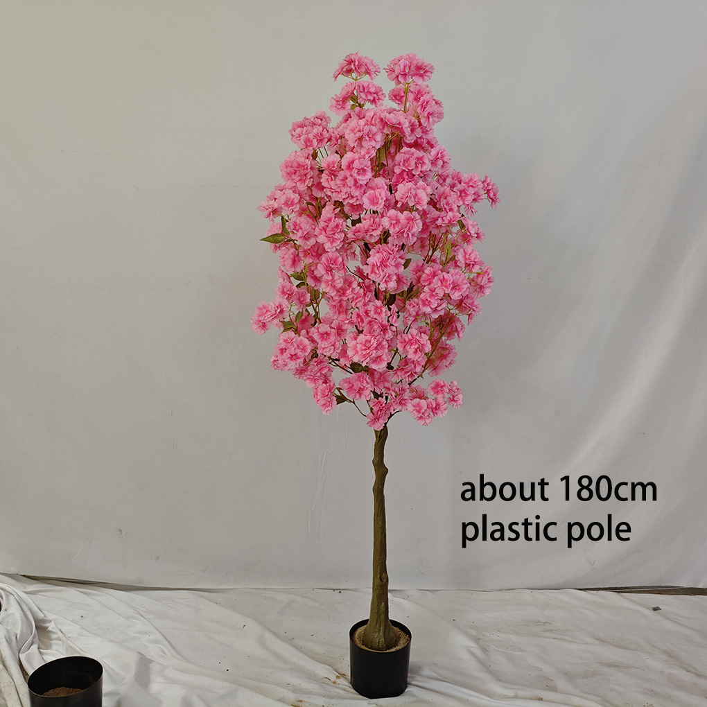 #5 (about 180cm)