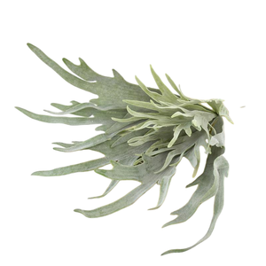 Plantes artificielles personnalisées en pot, grandes plantes de jardinage artificielles d'extérieur, grands poteaux de clôture tropicaux, <span class=keywords><strong>fougères</strong></span> simulées - Product Image 2