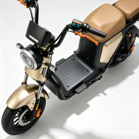 Scooter électrique vintage à deux places, batterie amovible 48V, frein à disque avant, vélo électrique pour adultes, idéal pour les trajets en ville