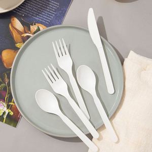 Cubiertos Desechables Compostables Personalizados de Venta Caliente: Cuchillo, Tenedor y Cuchara de Plástico PLA de Almidón de Maíz - Product Image 1