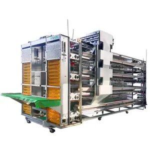 Big Large Size layer hens Cage and Broiler Cage Fully Automatic H Type 4 Tier Battery 12000 Pullet Chicken Cage