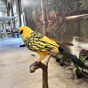 Afrika kuşları-sergi için özelleştirilmiş Animatronic altın tanbird kuş - Product Image 2