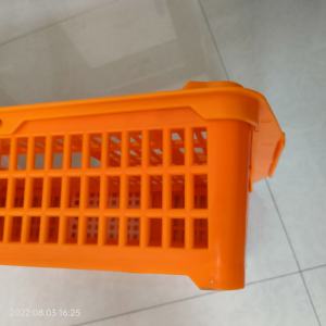 Gabbia di Trasporto in Plastica per Quaglie e Roditori, Cassa per Trasferimento Pollame PH-281 - Product Image 2