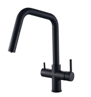 Robinet de cuisine moderne en laiton à double poignée avec douchette extractible et valve en céramique, eau potable directe pour appartements et cuisines d'hôtel