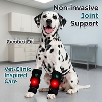 Ceinture de thérapie laser froid vétérinaire EURVET, ceinture de thérapie par lumière rouge portable pour animaux de compagnie, pour soulager les douleurs articulaires et musculaires des chiens et des chats