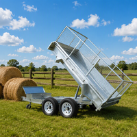 Nouvelle Conception Remorque Caisse Galvanisée 8x5 avec Cage pour Déménagement et Stockage Domestique