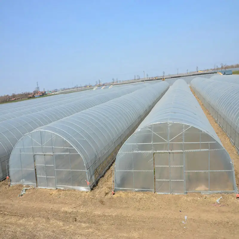 Set irigasi tetes rumah kaca pertanian, terowongan bertingkat tunggal pertanian